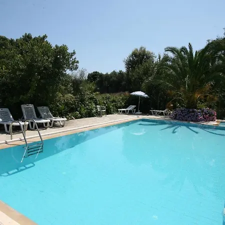 Dina Corfu